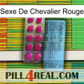 Red Knight Sex 35